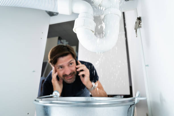 Best Affordable Plumbing Services  in Steilacoom, WA